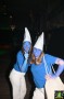 Thumbs/tn_Festival Carnaval 15+ 072.jpg